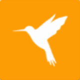 小黄鸟抓包软件旧版本