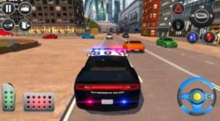 警车追逐驾驶模拟器截图(4)