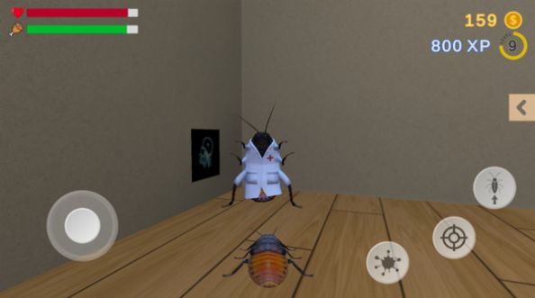 蟑螂生模拟器截图(2)