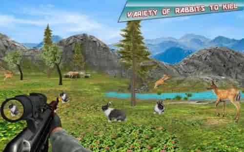 兔子狩猎模拟器截图(4)