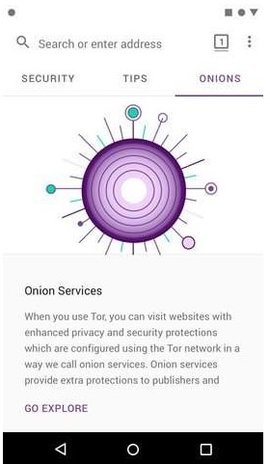 tor browser截图(3)