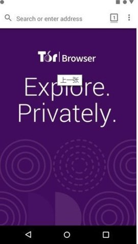 tor browser截图(2)