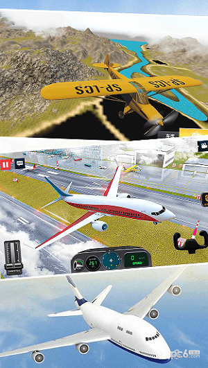 模拟真实飞机飞行截图(3)