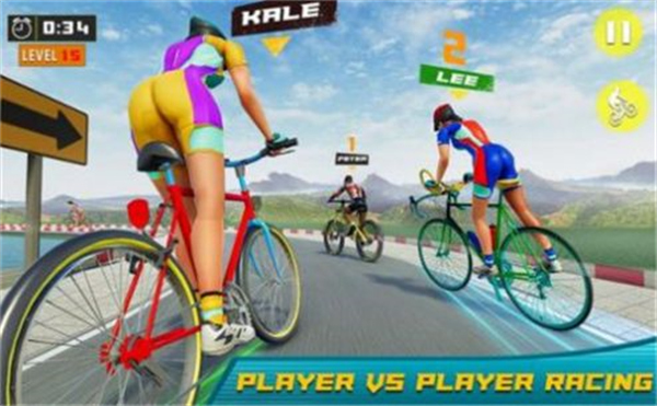 自行车竞赛截图(3)