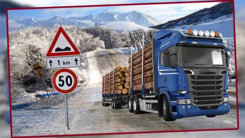 重型货运卡车驾驶截图(2)