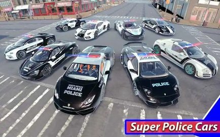 超级警车驾驶模拟器3D截图(2)