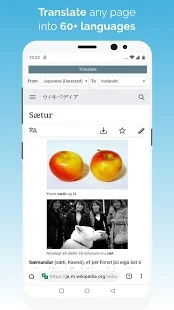 kiwi浏览器中文版截图(1)