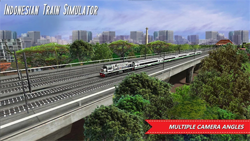 印度火车3d试玩版截图(3)