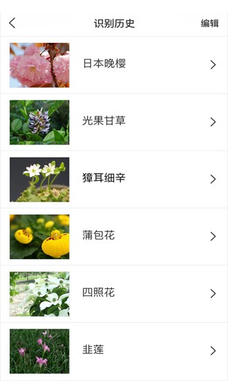 识花大师截图(2)