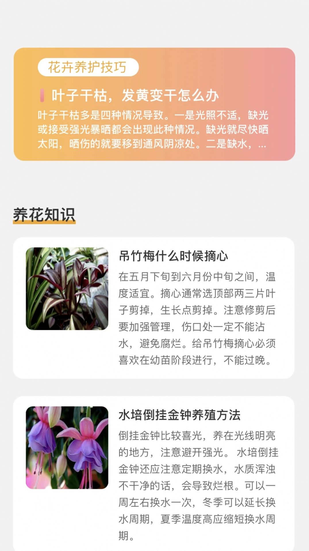 百花悦看截图(2)