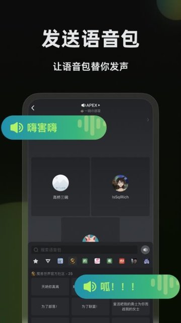 黑盒语音截图(2)