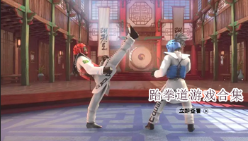 跆拳道游戏合集