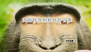 变脸特效相机软件合集
