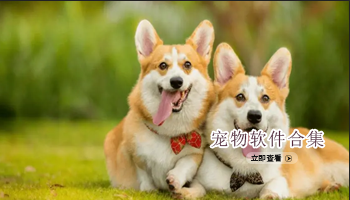 宠物软件合集