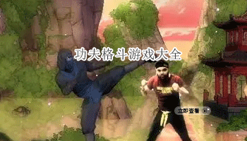 功夫格斗游戏大全