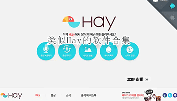 类似Hay的软件合集