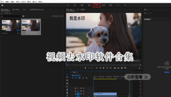 视频去水印软件合集