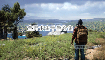 荒野求生手游合集