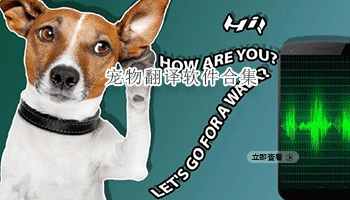 宠物翻译软件合集