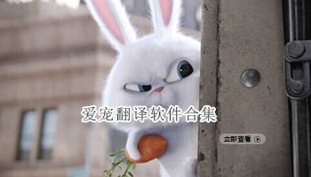 爱宠翻译软件合集