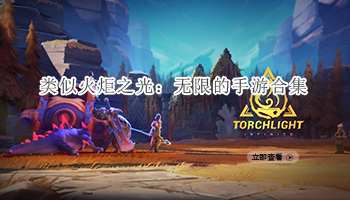 类似火炬之光：无限的手游合集