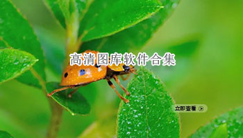 高清图库软件合集