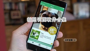 拍照识图软件合集