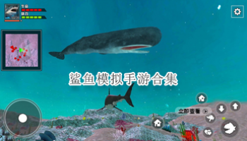 鲨鱼模拟手游合集