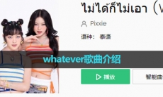 《抖音》whatever歌曲介绍