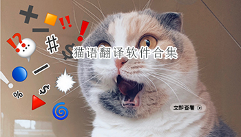 猫语翻译软件合集