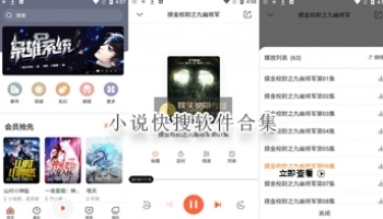 小说快搜软件合集